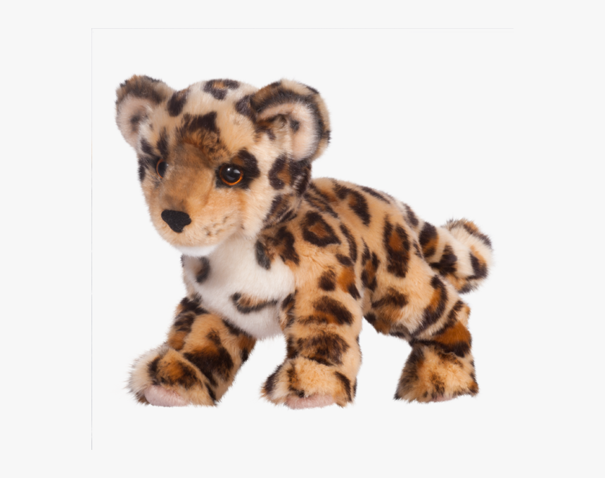 Cheetah, HD Png Download, Free Download