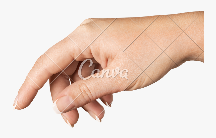 Transparent Hand Holding Something Png - Portable Network Graphics, Png Download, Free Download
