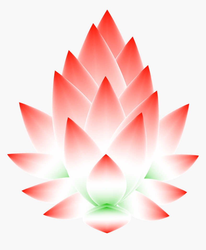 Lotus Flower Graphic Png, Transparent Png, Free Download