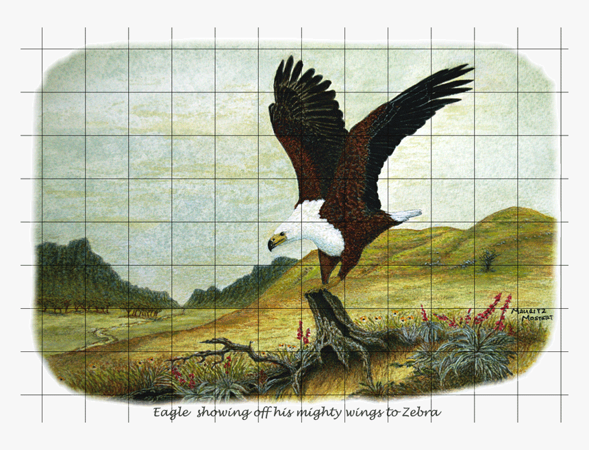 Eagle-gr#wildmoz - Com - Hawk, HD Png Download, Free Download