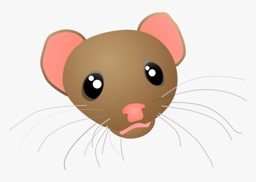 Weasel Head, HD Png Download, Free Download