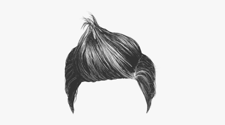 Only Boy Hair Png, Transparent Png - kindpng Only Boy Hair Png, Transparent Png - kindpng