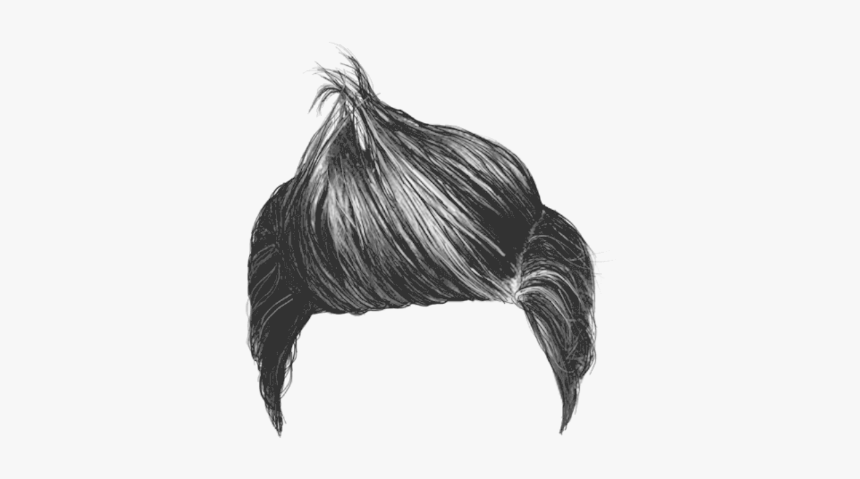 Only Boy Hair Png, Transparent Png, Free Download