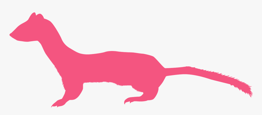 Purple Weasel, HD Png Download, Free Download