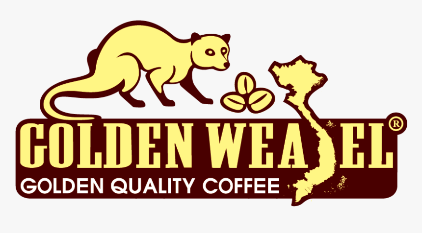 Golden Weasel Coffee - Cartoon, HD Png Download, Free Download