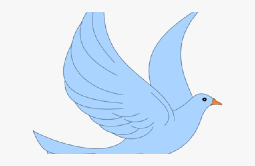 Pigeons And Doves, HD Png Download, Free Download