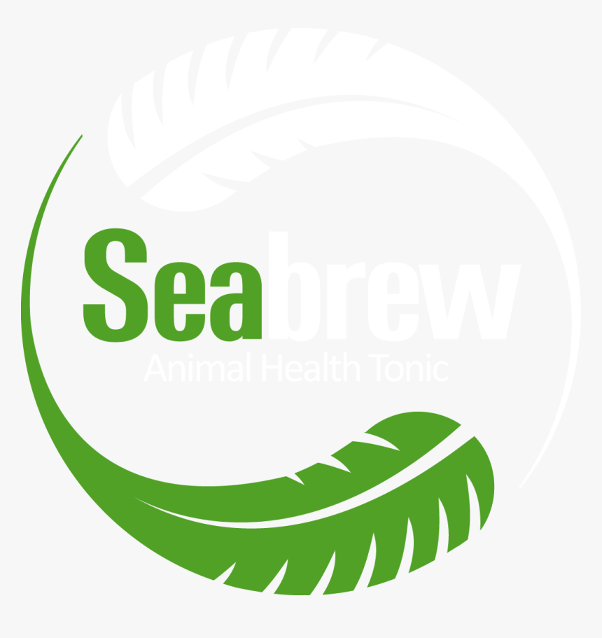Seaweed Clipart Png , Png Download - Illustration, Transparent Png, Free Download