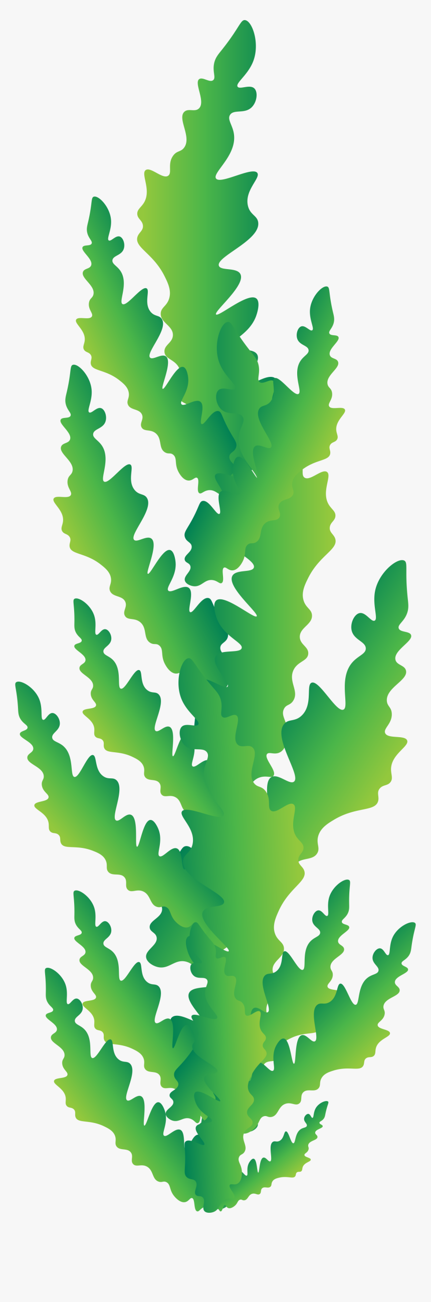 Seaweed, HD Png Download, Free Download