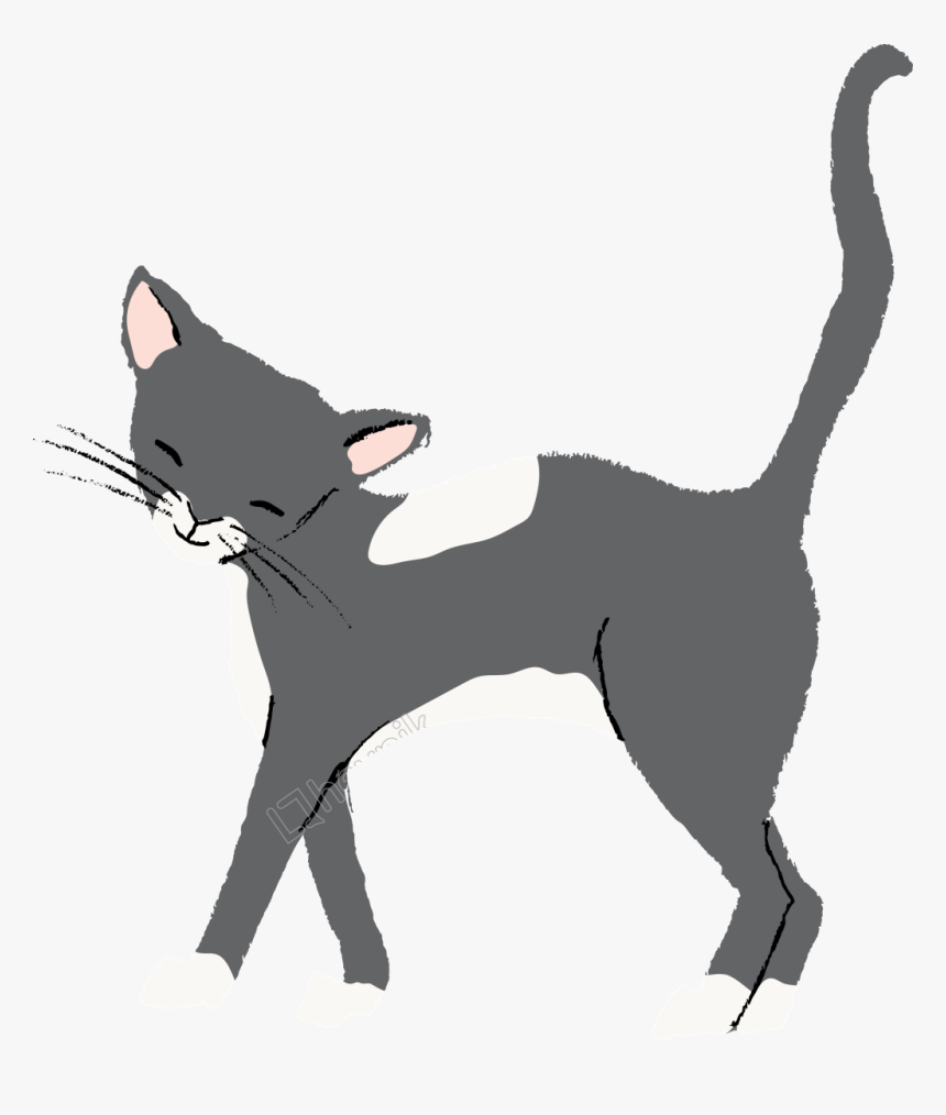 Transparent Cat Walking Png - Cat, Png Download, Free Download