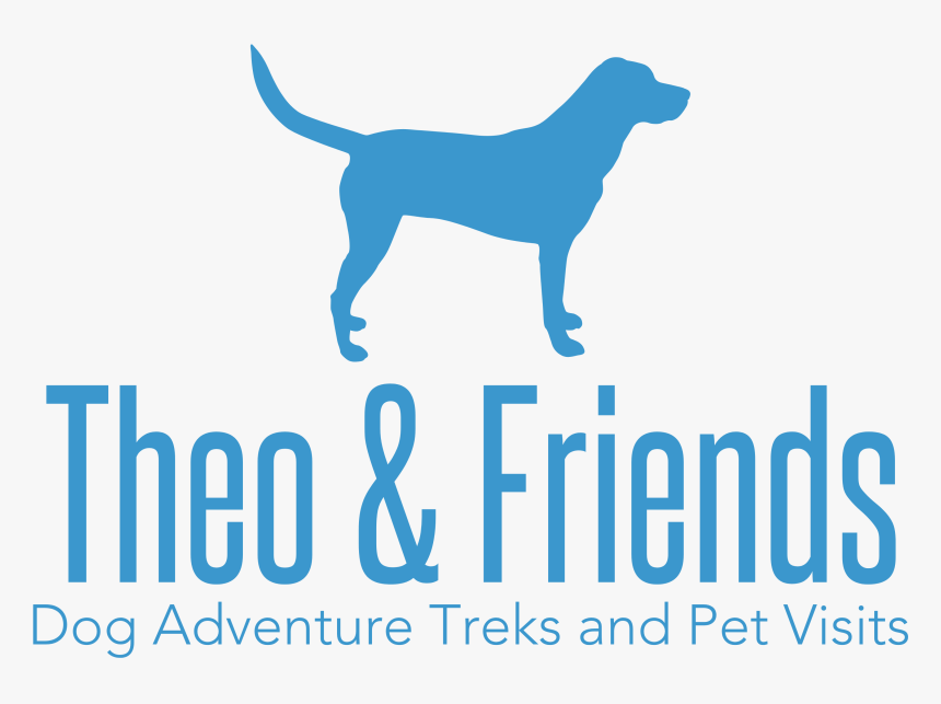 Dog Walking, Pet Sitting, And Adventure Treks By Theo - Hunting Dog, HD Png Download, Free Download