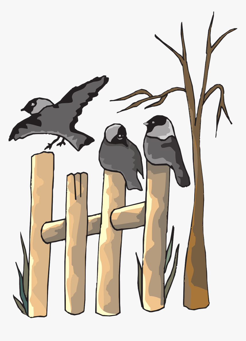 Bird On The Fence Clipart, HD Png Download, Free Download