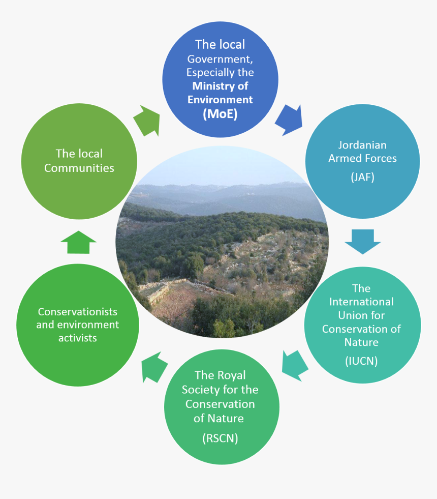 Vicious Cycle Of Stress, HD Png Download, Free Download