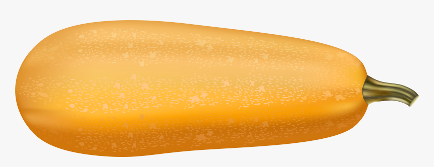 Long Pie Pumpkin Transparent - Long Pumpkin Png, Png Download, Free Download