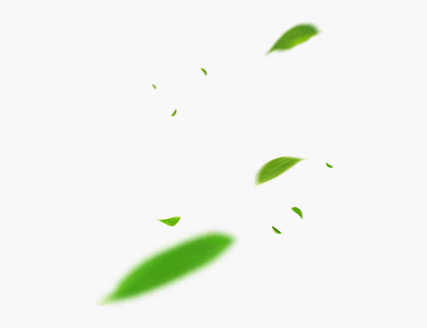 Leaf, HD Png Download, Free Download