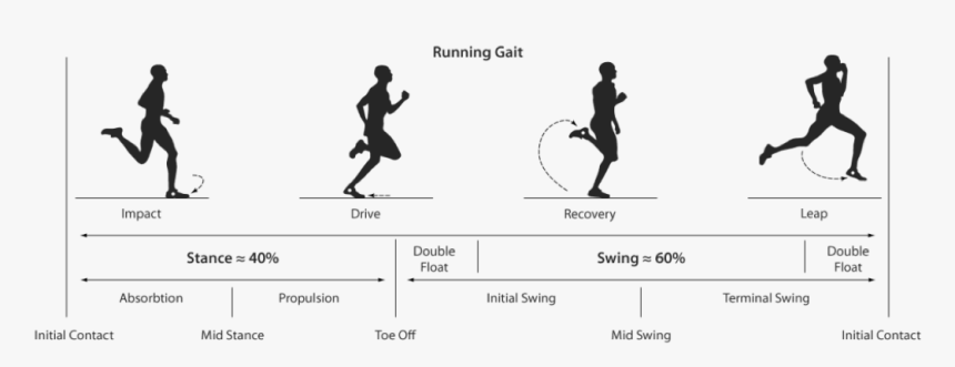 Running Mechanics, HD Png Download, Free Download