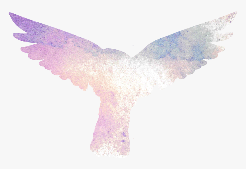 Holy Spirit Dove Png Download - Ozalla, Transparent Png, Free Download