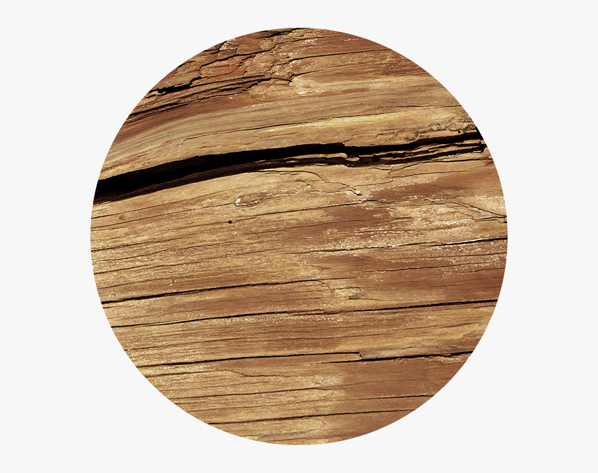 Traditional Oak Finish - Plywood, HD Png Download, Free Download