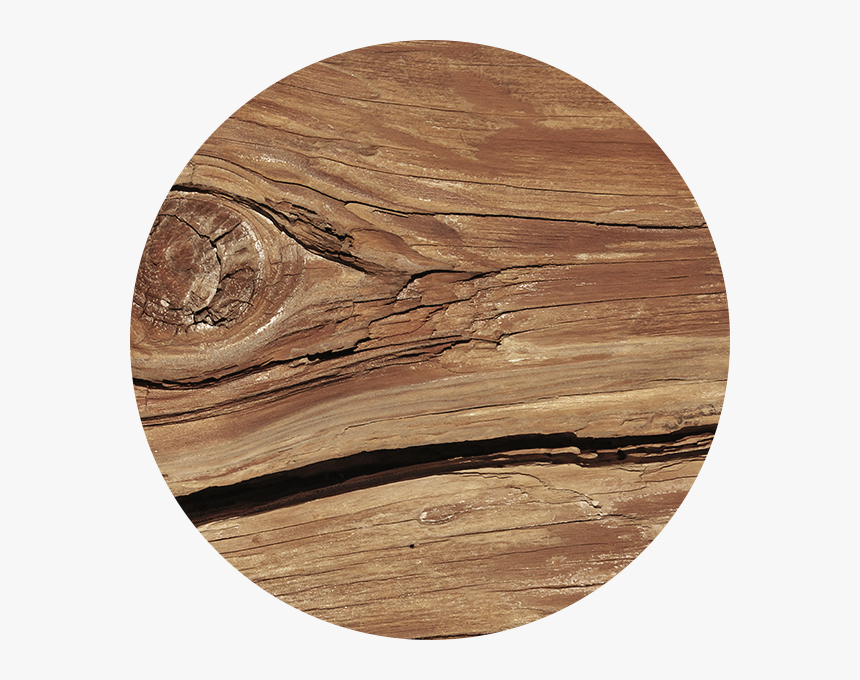 Warm Oak Finish - Plywood, HD Png Download, Free Download