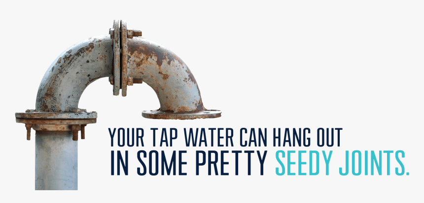 Your Tap Water Can Hang Out In Some Pretty Seedy Joints - Primo Water Tap Water, HD Png Download, Free Download