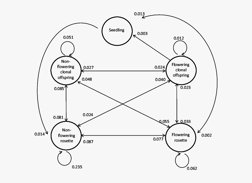 Diagram, HD Png Download, Free Download