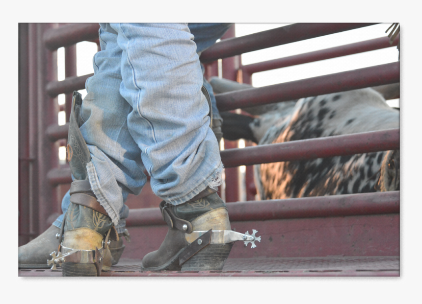 Bull Riding Spurs Canvas Print - Bull Riding Spurs On Boots, HD Png Download, Free Download