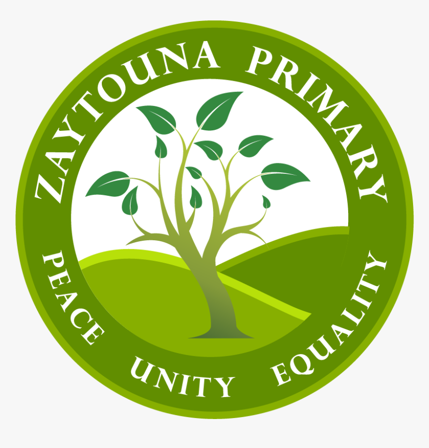 Zaytouna Primary School - Graphic Design, HD Png Download, Free Download