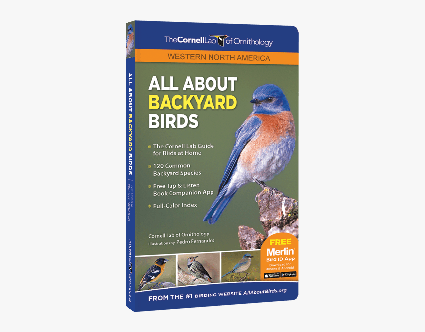 All About Backyard Birds - Western North America, HD Png Download, Free Download