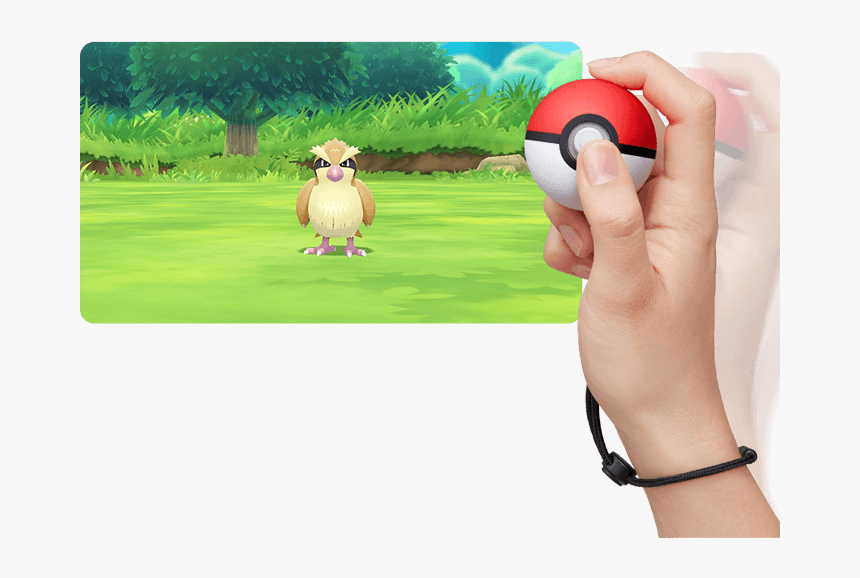 Instead Of Using The Joy Con, You Can Use Poké Ball - Trees In Pokemon Lets Go, HD Png Download, Free Download