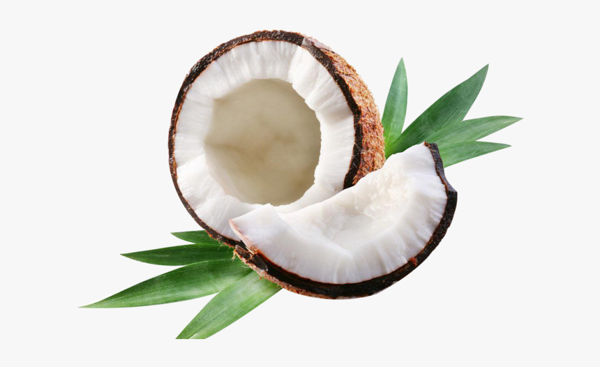 Coconut Water Coconut Milk Coconut Oil Axe7axed Na - Transparent Png Coconut Png, Png Download, Free Download