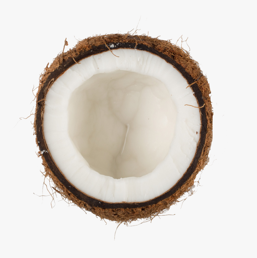 Coconut Oil , Png Download - Coconut Png Transparent, Png Download, Free Download