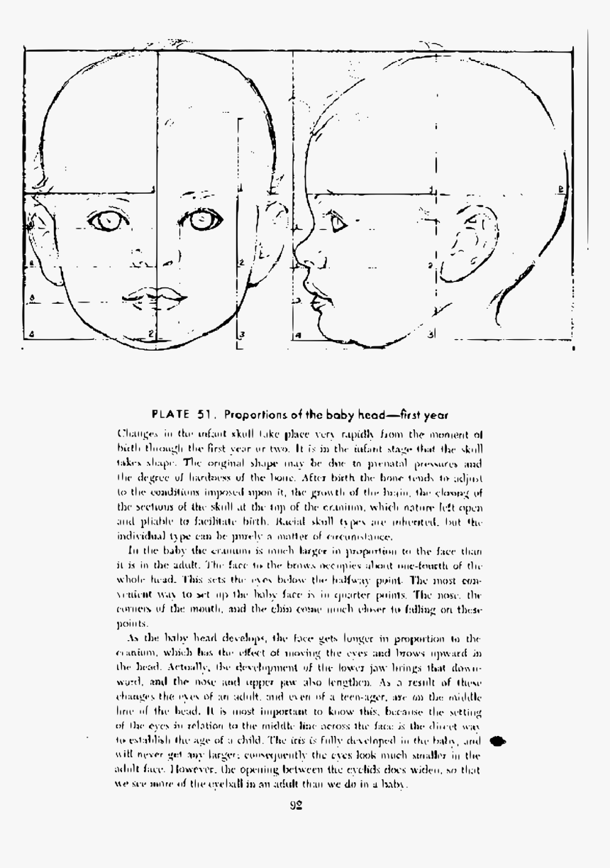 Andrew Loomis Drawing The Head And Hands 83 Clip Arts - Детское Лицо В Профиль, HD Png Download, Free Download