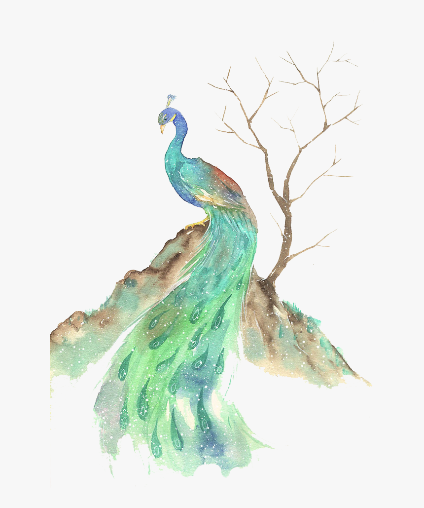 Bird Watercolor Painting Illustration - Picock Oil Painting, HD Png Download, Free Download