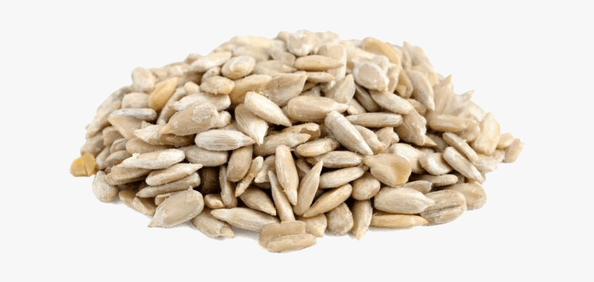 Sesame Seeds High Quality Png - Sunflower Seeds Png Image Transparent, Png Download, Free Download