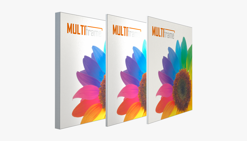Multi Frame Alle 3 Profile - Sunflower, HD Png Download, Free Download