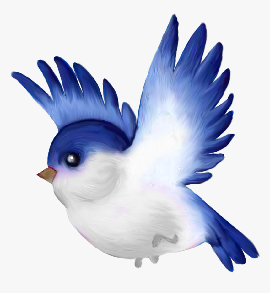 Bird Flying Cartoon Png, Transparent Png, Free Download