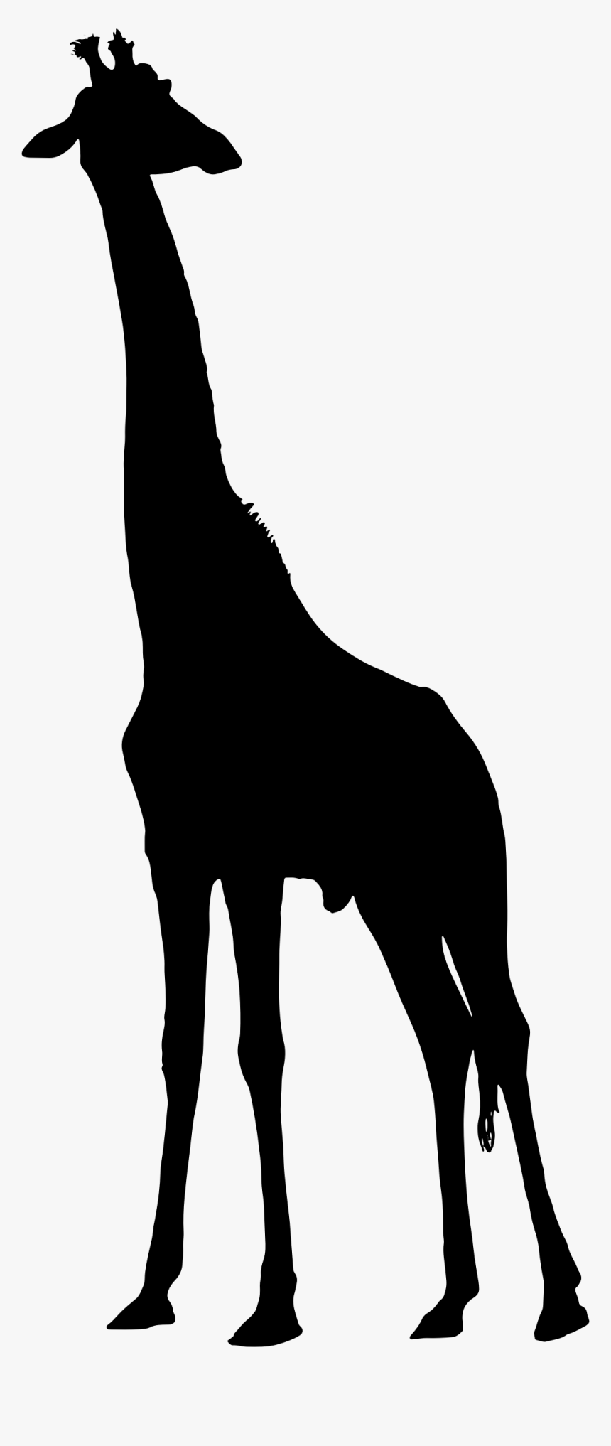 Giraffe Silhouette Clip Arts - African Giraffe Silhouette Png, Transparent Png, Free Download