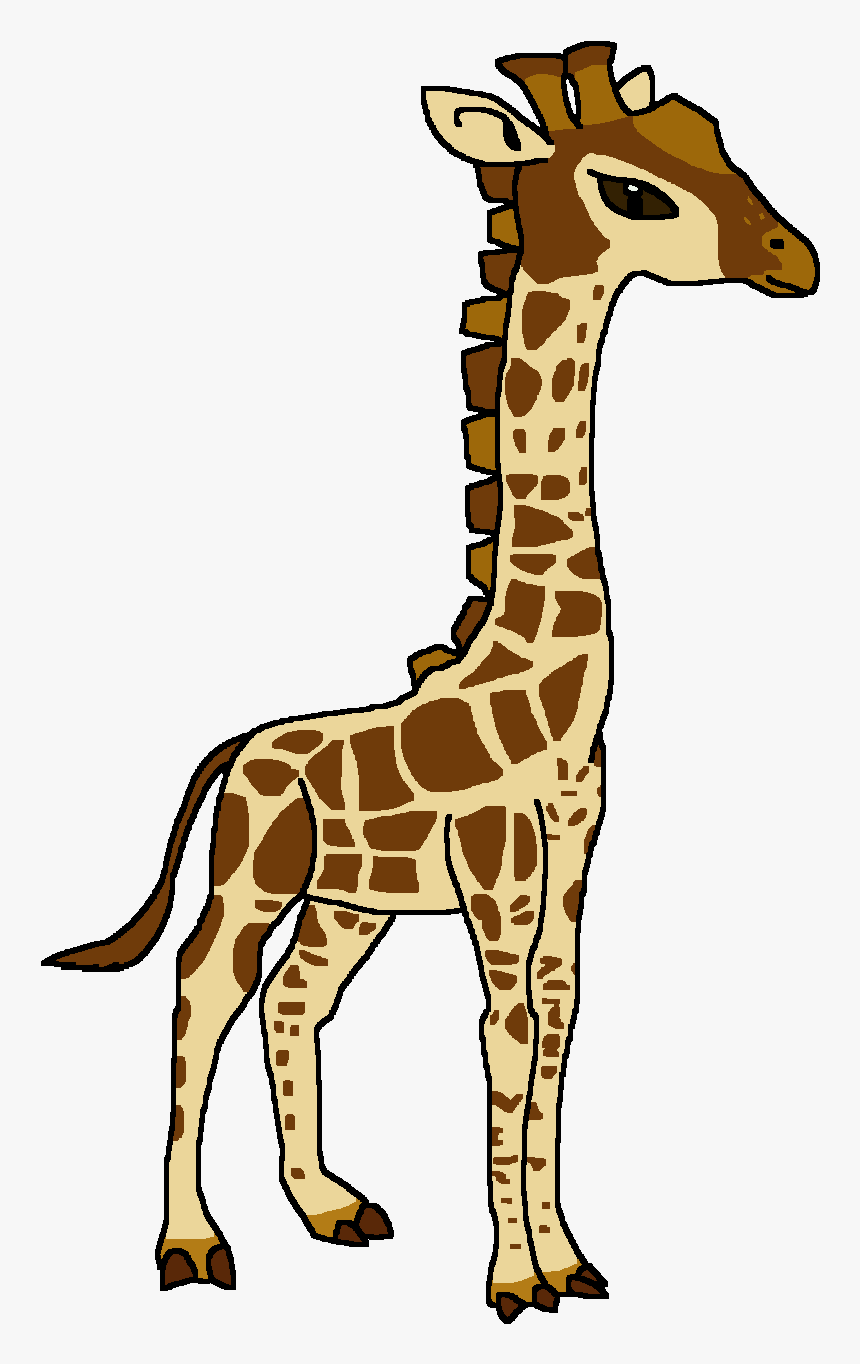 Angolan Giraffe , Png Download - Giraffe, Transparent Png, Free Download