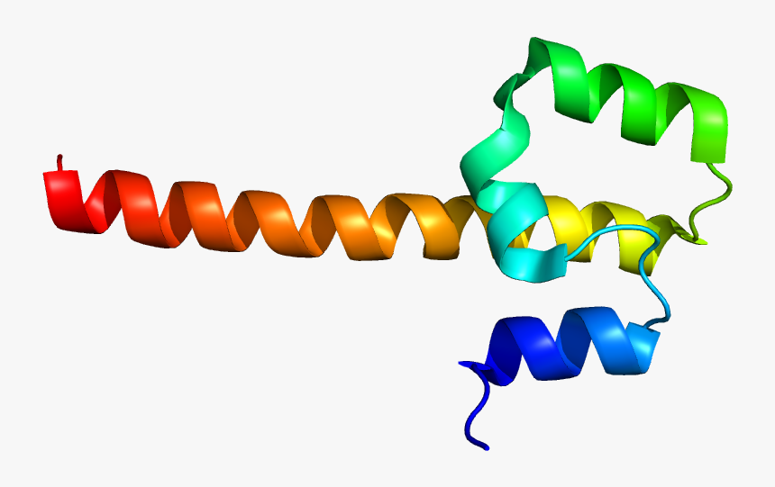 Protein Nfe2 Pdb 1lvx - Illustration, HD Png Download, Free Download