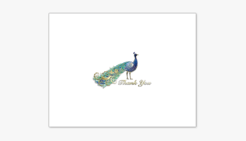 Peafowl, HD Png Download, Free Download