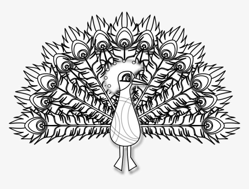 Peacock, Bird, Pheasant, Plumage, Feather, Colorful - Peacock Clip Art Png Black And White, Transparent Png, Free Download