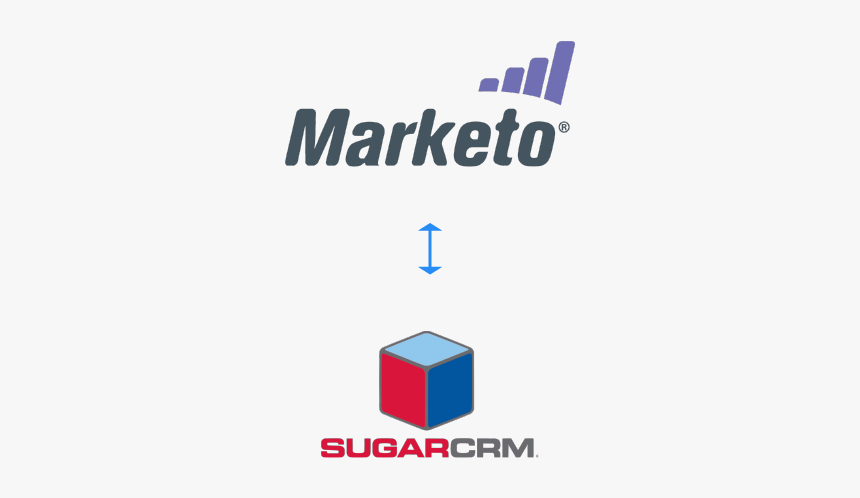 Marketo, HD Png Download, Free Download