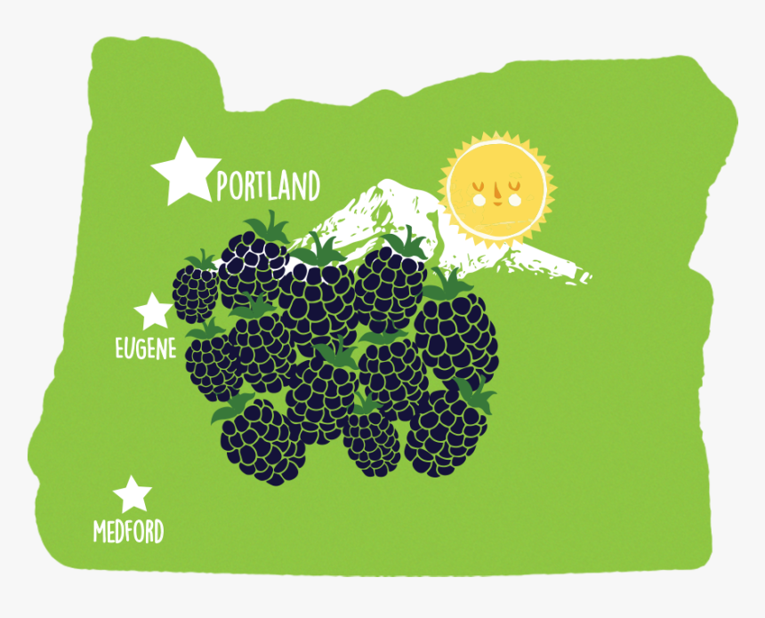 Berries In Oregon - Illustration, HD Png Download, Free Download