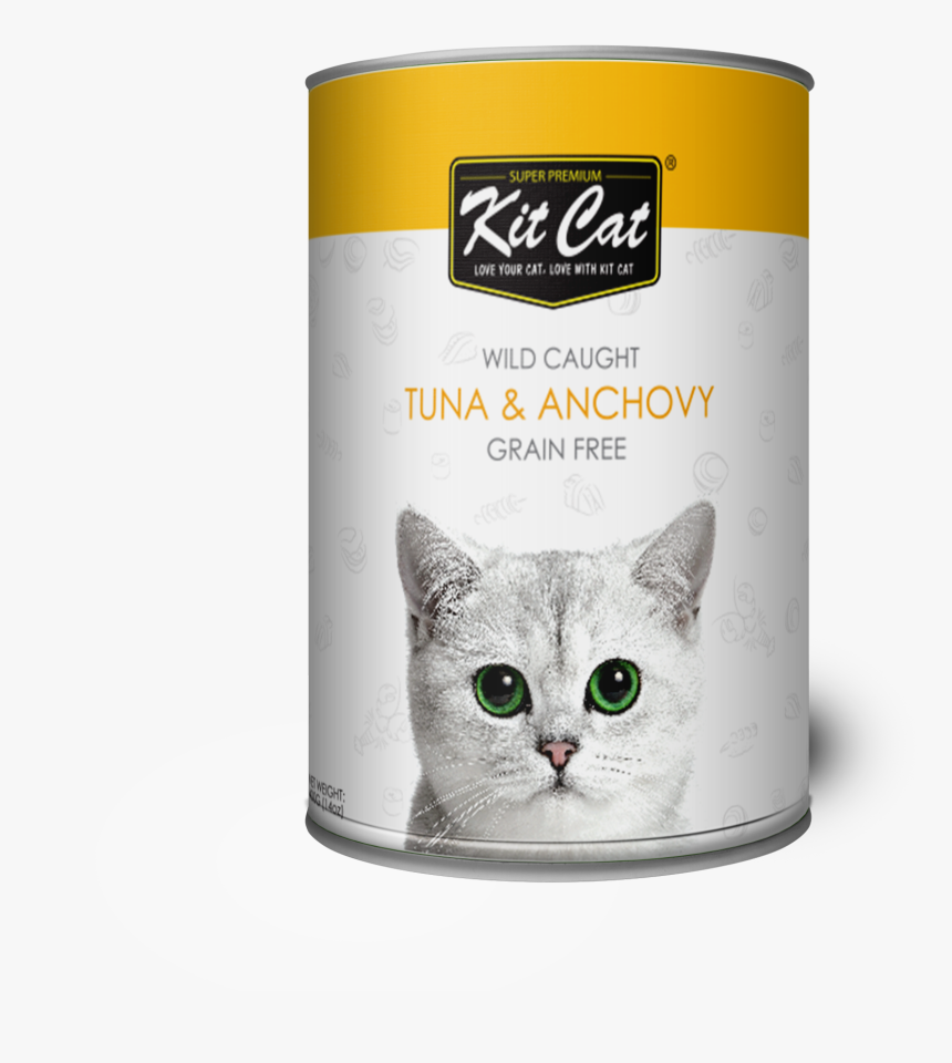 Kit Kat Cat Food, HD Png Download, Free Download