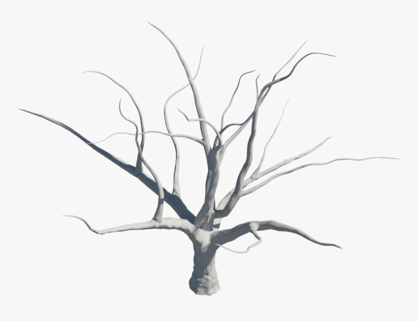 Arbusto Seco Png, Transparent Png, Free Download