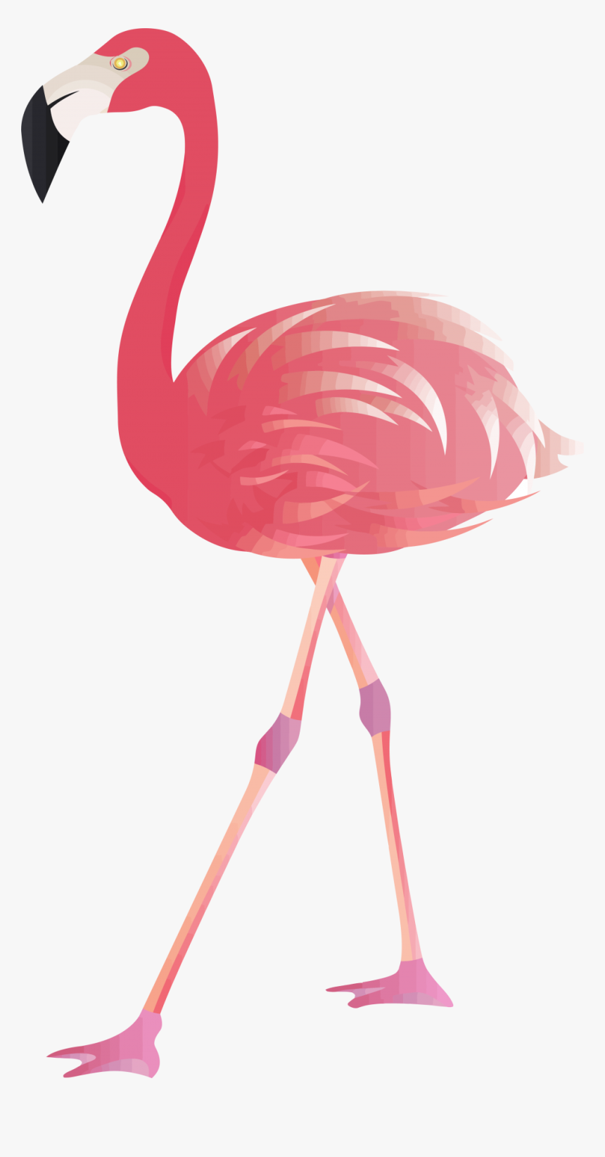 Transparent Background Pink Flamingo Clipart, HD Png Download, Free Download