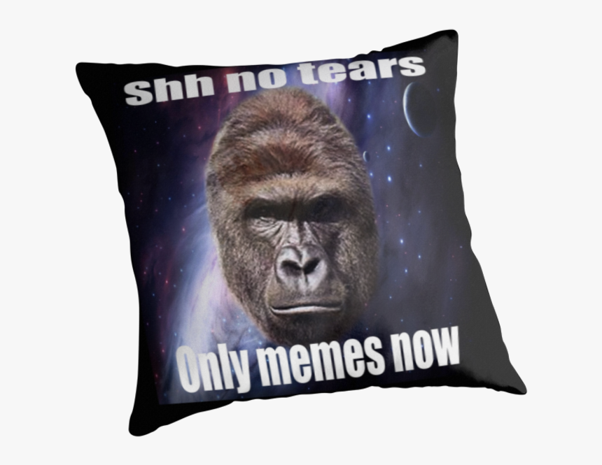 Throw Pillow, HD Png Download, Free Download