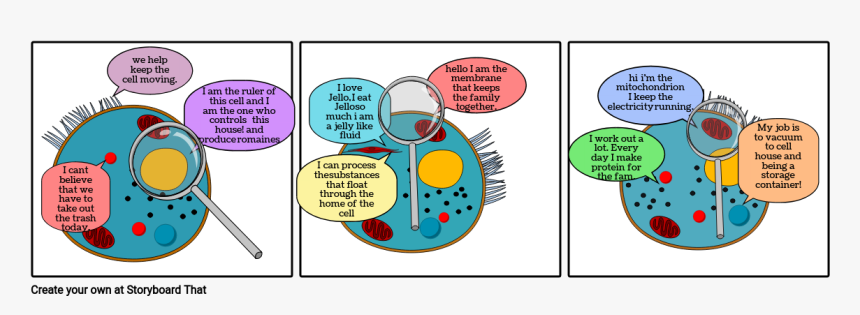 Organelles Storyboard, HD Png Download, Free Download