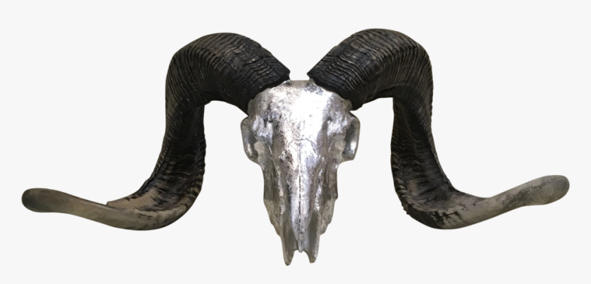 Silver Rams Head With Horns - Horn, HD Png Download, Free Download