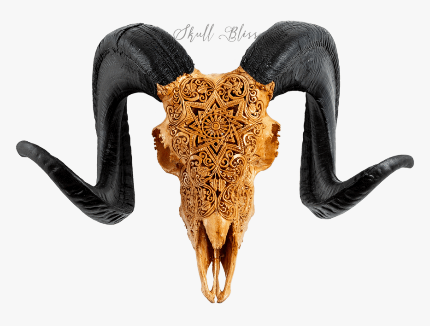 Transparent Ram Animal Png - Ram Animal Png, Png Download, Free Download