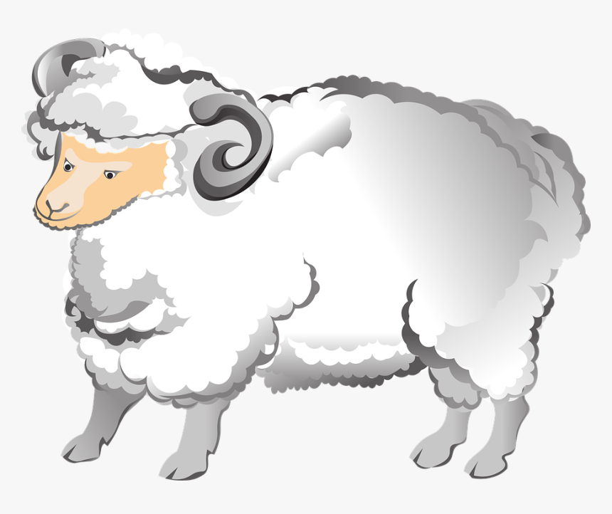 Ram, Sheep, Horns, Farm, Animal, Fluffy, Mammal, Male - Gambar Domba Bertanduk Kartun, HD Png Download, Free Download